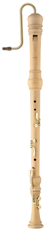 musik-wittl349705